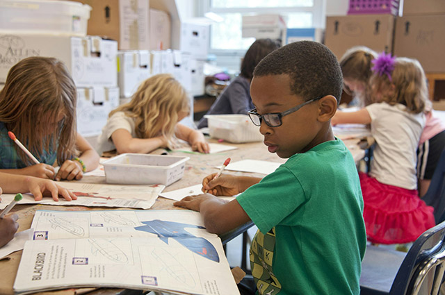 Elementary School Curriculum